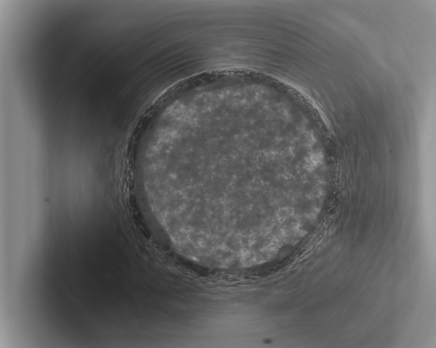 X0000102520871200809051441