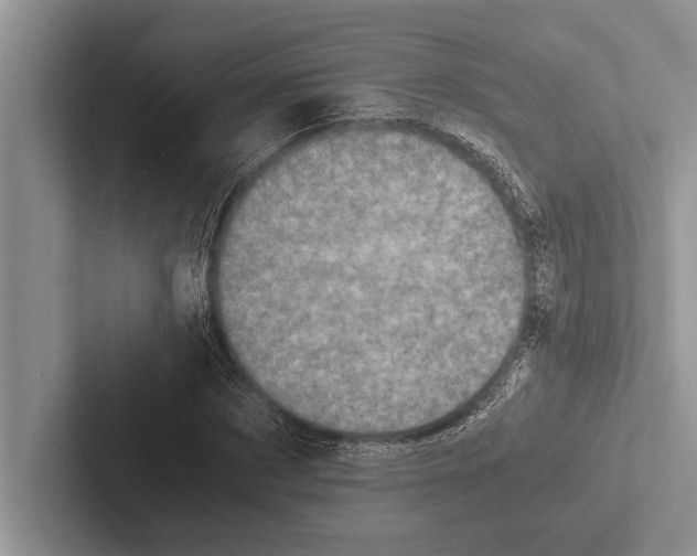 X0000102520873200809051441