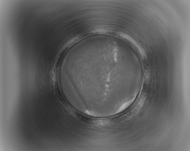 X0000102520874200809051441