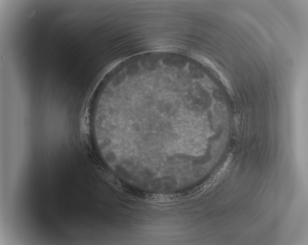 X0000102520875200809051441