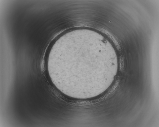 X0000102520876200809051441