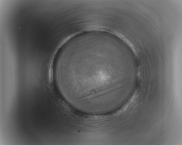 X0000102520877200809051441