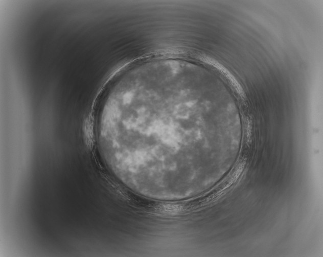 X0000102520878200809051441