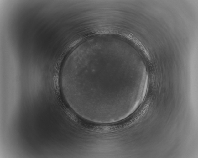 X0000102520881200809051441