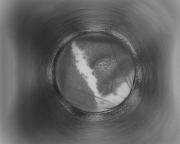 X0000102520882200809051441