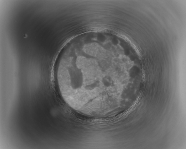 X0000102520883200809051441