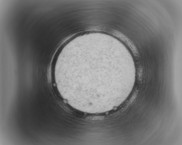 X0000102520884200809051441