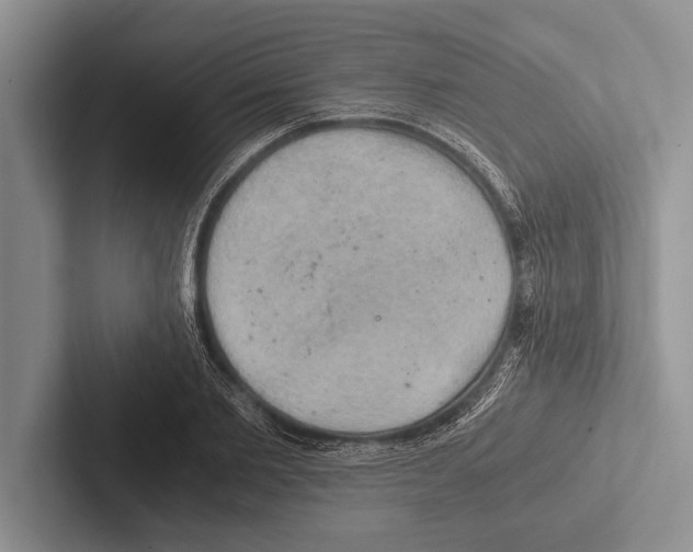 X0000102520885200809051441