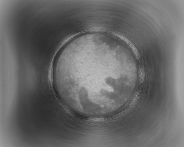 X0000102520886200809051441