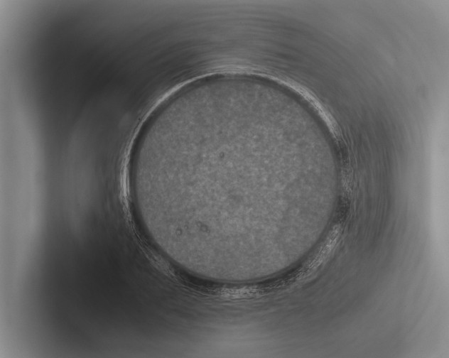 X0000102520887200809051441