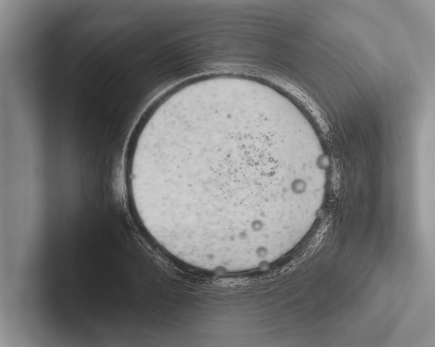 X0000102520888200809051441