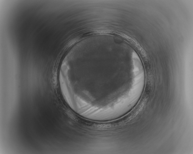 X0000102520889200809051441