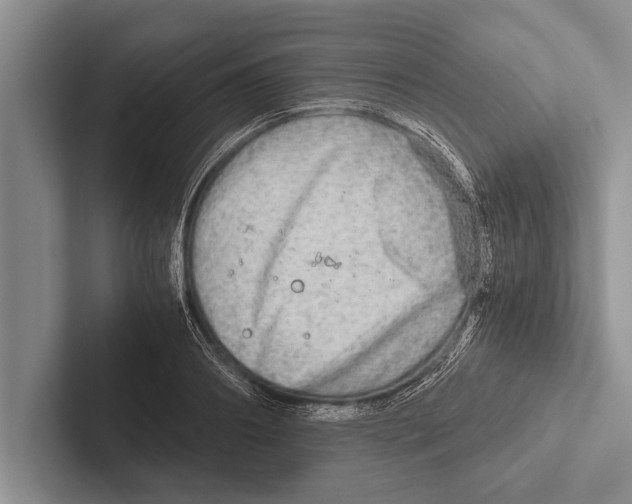 X0000102520890200809051441