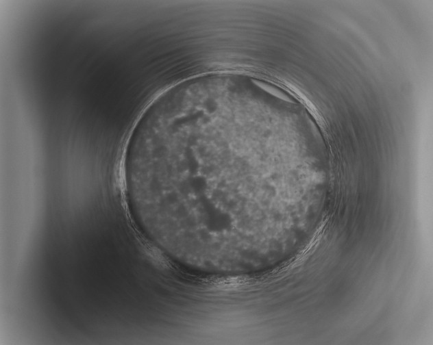 X0000102520891200809051441