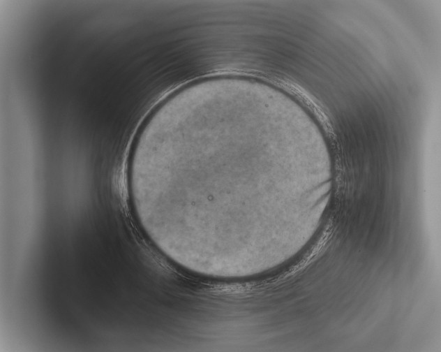 X0000102520892200809051441