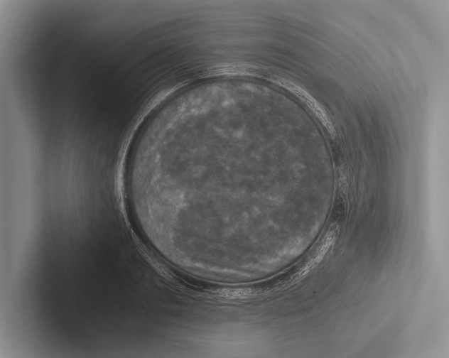 X0000102520893200809051441