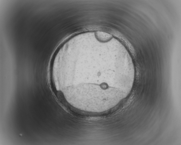 X0000102520894200809051441