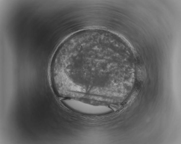 X0000102520895200809051441