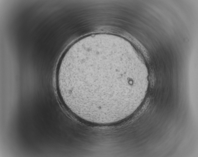 X0000102520896200809051441