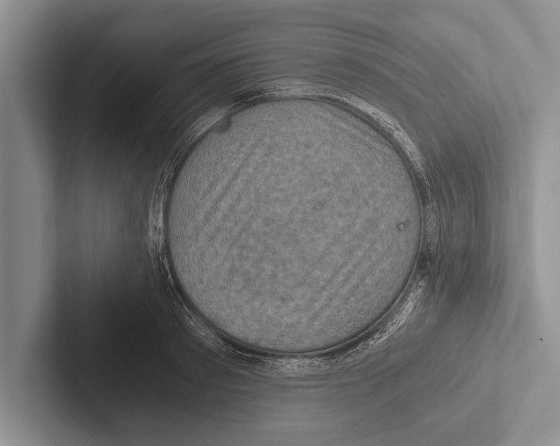 X0000102520897200809051441