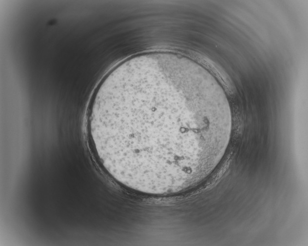 X0000102520900200809051441