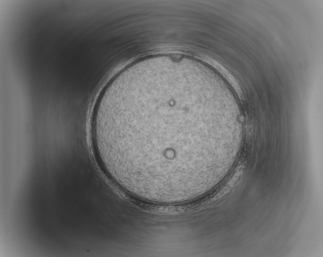 X0000102520901200809051441