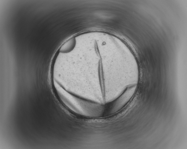 X0000102520902200809051441