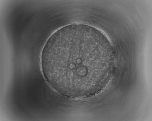 X0000102520903200809051440