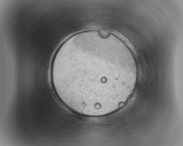 X0000102520904200809051440