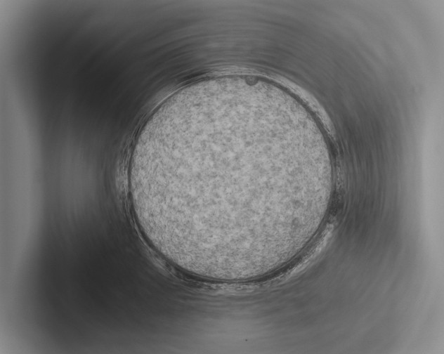 X0000102520905200809051440