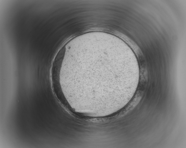 X0000102520906200809051440