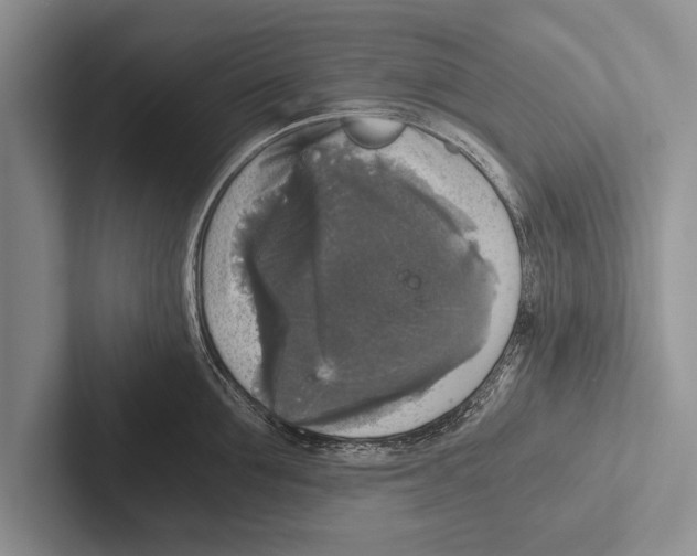 X0000102520907200809051440