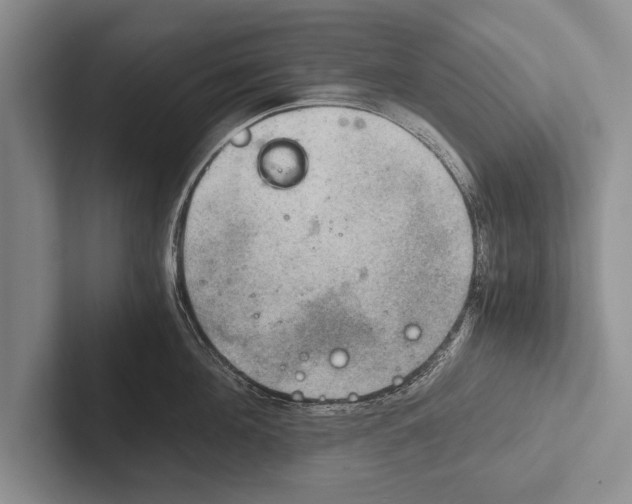 X0000102520908200809051440