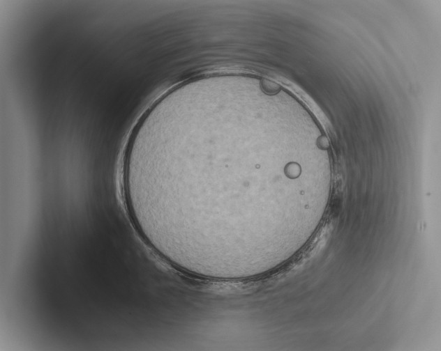 X0000102520909200809051440