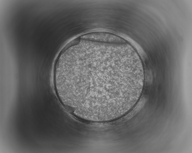 X0000102520910200809051440