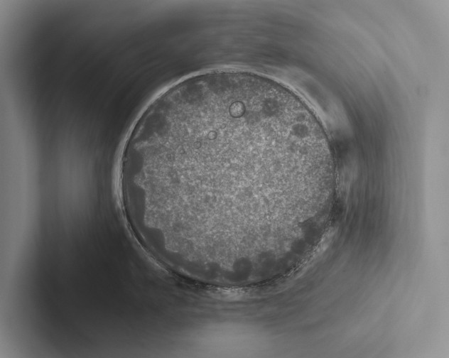 X0000102520911200809051440