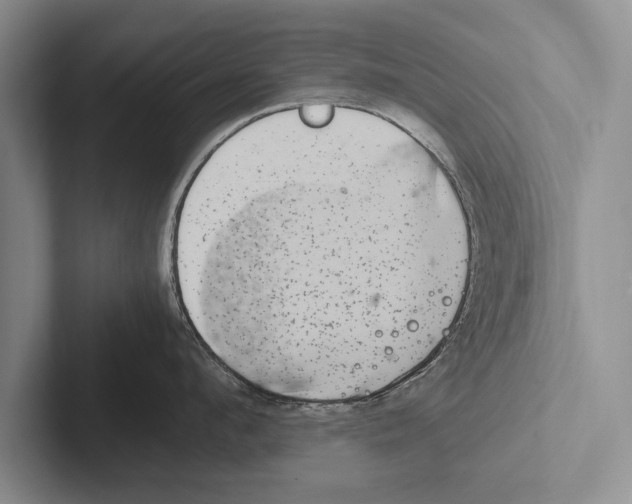 X0000102520912200809051440