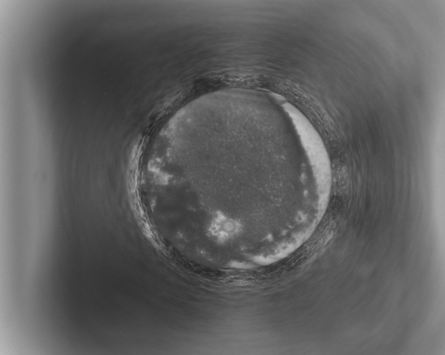 X0000102520913200809051440