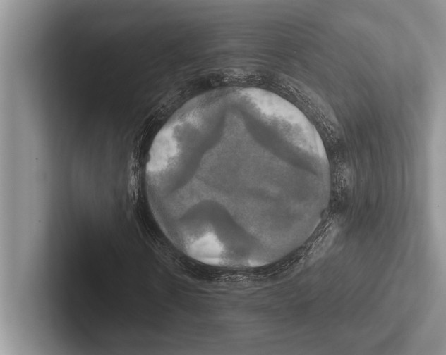 X0000102520914200809051440