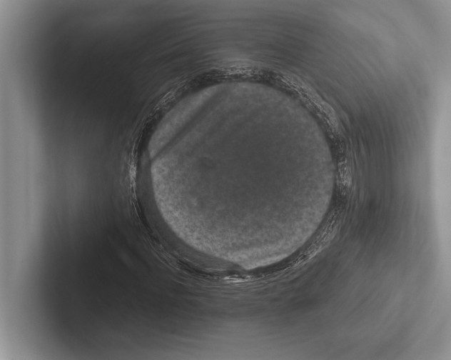 X0000102520916200809051440