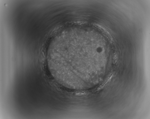 X0000102520917200809051440