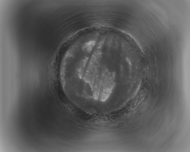 X0000102520919200809051440