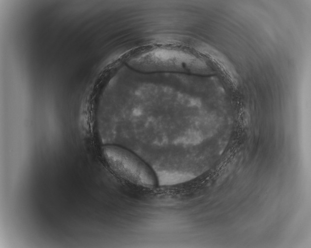 X0000102520920200809051440