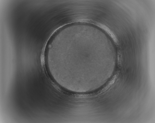 X0000102520924200809051440