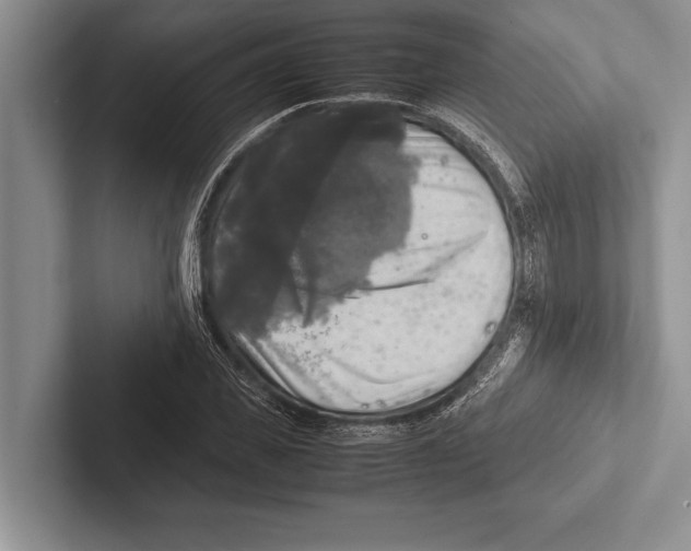 X0000102520925200809051440