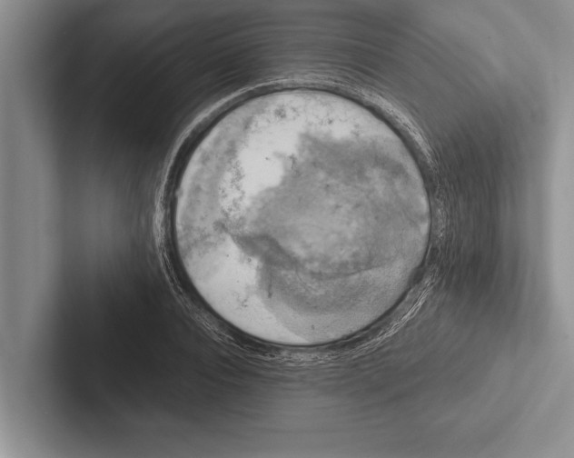 X0000102520928200809051440