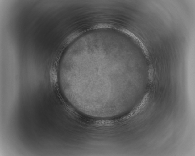 X0000102520929200809051440