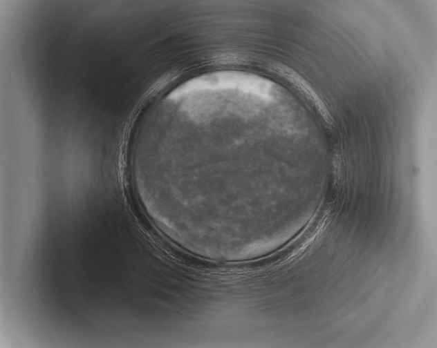 X0000102520930200809051440