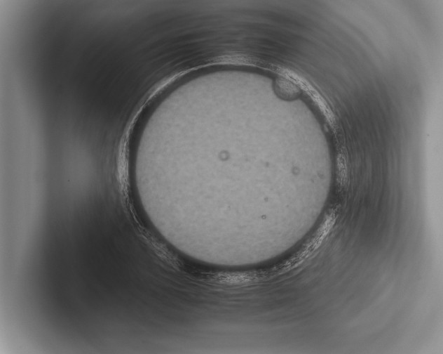 X0000102520931200809051440