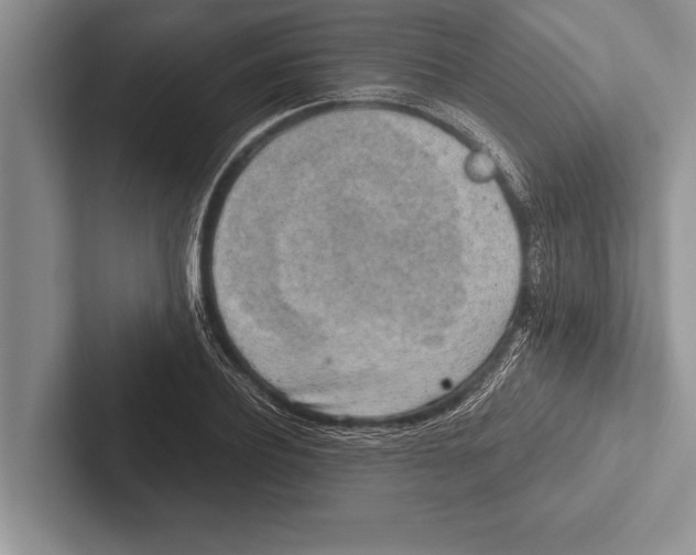 X0000102520932200809051440